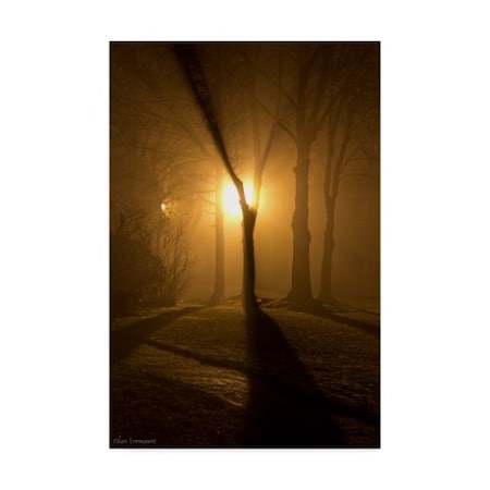 Ian Tornquist 'Light Through The Mist' Canvas Art,12x19